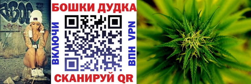 Конопля гибрид  kraken   Кондрово 